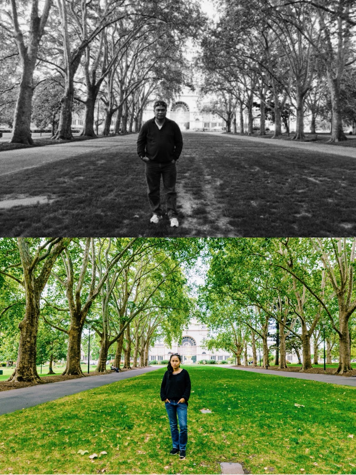 Carlton Gardens